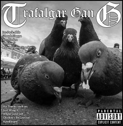 Pigeons looked like they wanted an album cover, so rocked on. 2/3 - 9GAG