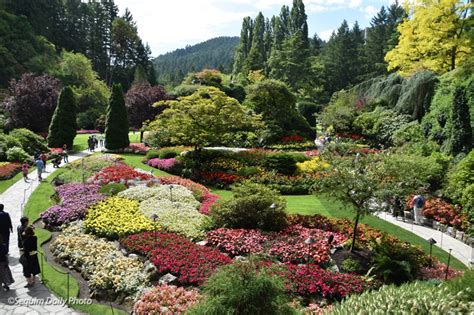 Summer in Butchart Gardens – Sequim Daily Photo