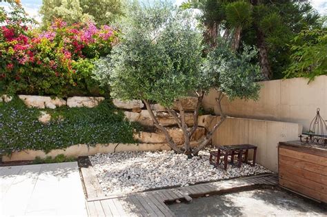 Paradise in Your Backyard: Garden Design Tips from the Mediterranean - The garden!