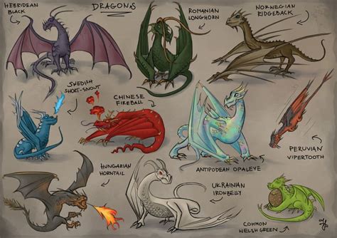 All Dragons from Harry Potter, Julianna Draga | Fond d'ecran dessin ...