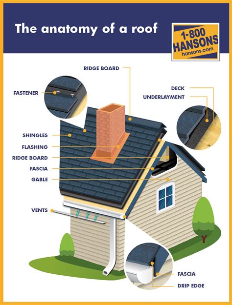 Anatomy of a Roof | 1-800-HANSONS Roofing Experts