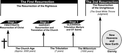 Resurrections: Firstfruits, Harvest & Gleanings