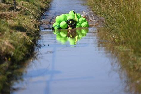 ‘Utterly ridiculous’ bog snorkelling is a hit again | Shropshire Star