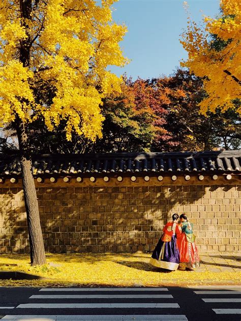 Gyeongbokgung autumn. | Robert Koehler Travel Photography