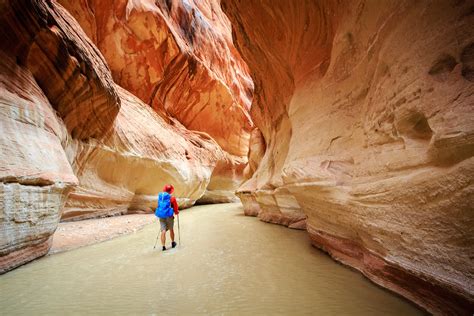 Top 10 Slot Canyons in Utah | Utah.com