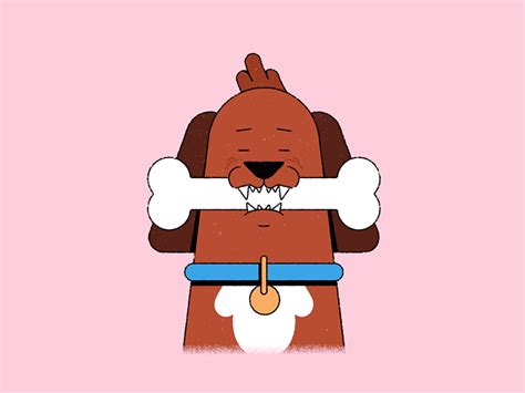 Dog Chew Toys designs, themes, templates and downloadable graphic elements on Dribbble