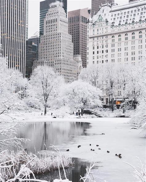 Earth on Instagram: “Winter in New York City cc: @bbsinghphotos” | New ...