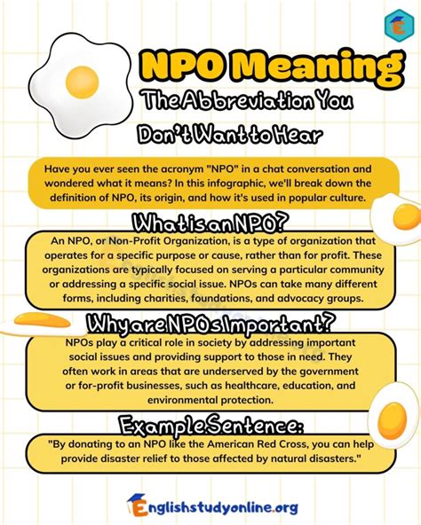 NPO Meaning: What Does This Acronym Stand For? - English Study Online