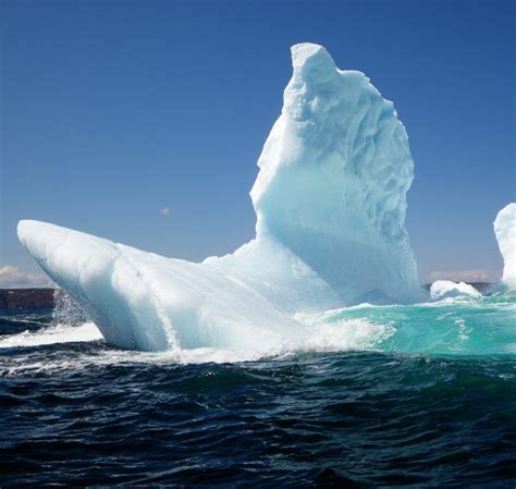 Iceberg in Newfoundland. | Newfoundland travel, Newfoundland island ...