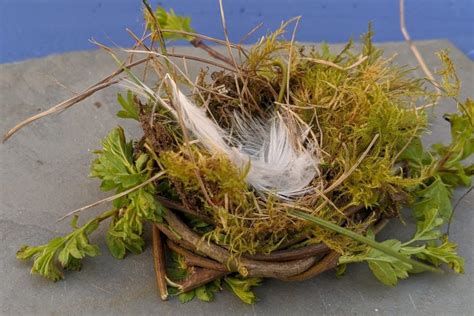 Making bird nests - Sensory Trust