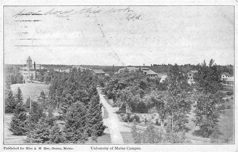 Orono Maine University Campus Birdseye View Antique Postcard K85128 - Mary L. Martin Ltd. Postcards