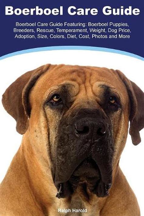 Boerboel Boerboel Care Guide Featuring: Boerboel Puppies, Breeders ...