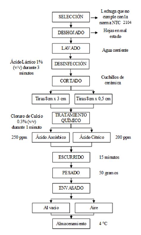 Diagrama de flujo para cada tratamiento descrito en muestras de lechuga... | Download Scientific ...