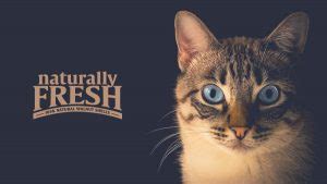 Naturally Fresh Cat Litter Review 2024 (In-Depth) - CatlyCat