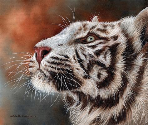 White Tiger Painting by Sarah Stribbling | Pixels