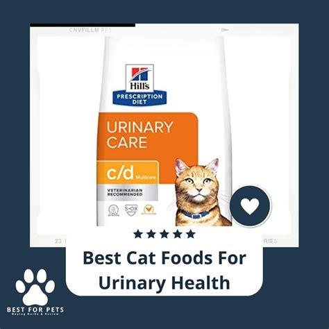 Here Are The Best Cat Foods For Urinary Health - BestForPets.org