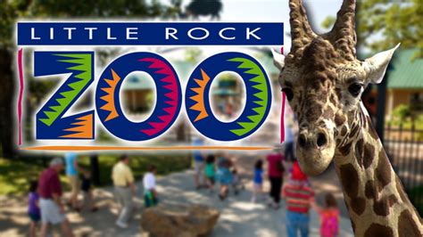 Little Rock Zoo invites public to love your zoo, but not your ex, throw ...