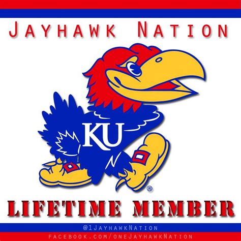 Rock chalk Jayhawk | Rock chalk jayhawk, Rock chalk, Marinated pork