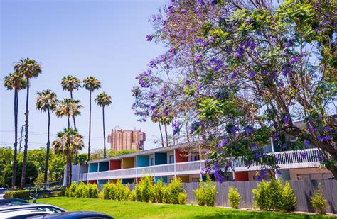 The Anaheim Hotel Review - Disney Tourist Blog