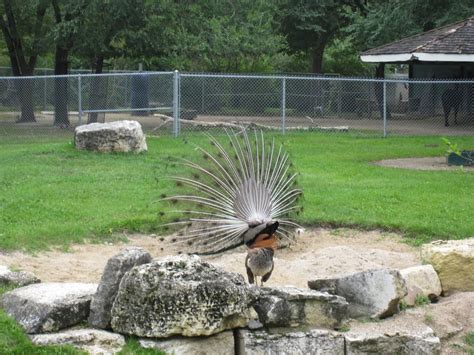 The Ineck Family: The Winnipeg Zoo