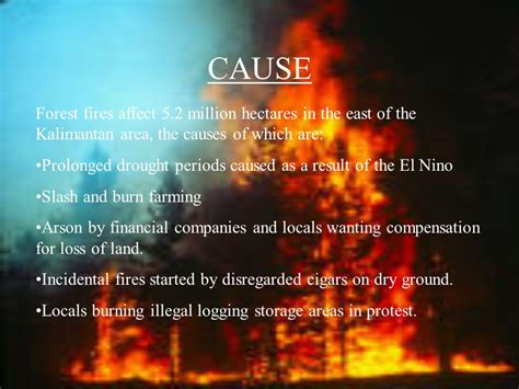 Forest Fire Causes