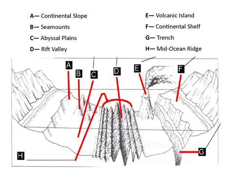 Gap Lesson C: Features of the Ocean Floor (DOK 1-2) - Green Sea Floyds Elementary