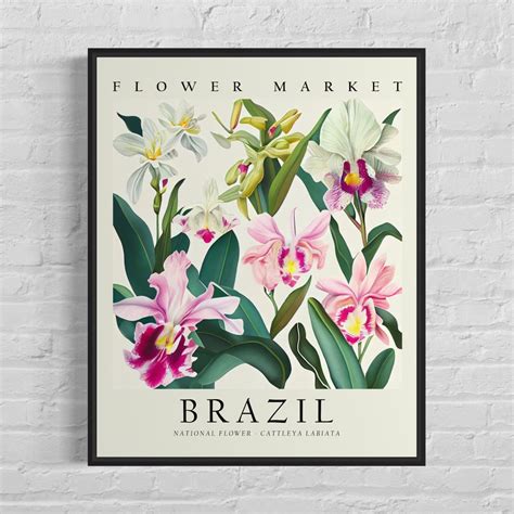 Brazil National Flower, Brazil Market Art Print, Cattleya Labiata 1960 ...