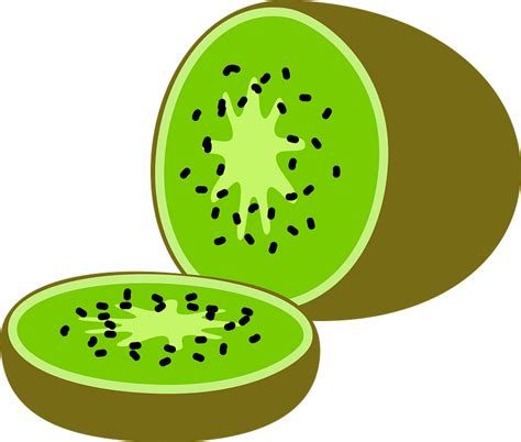 Kiwi clipart. Free download transparent .PNG | Creazilla