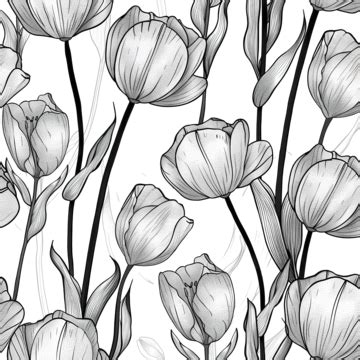 Tilip Line Art Seamless Pattern, Tulip, Flower, Pattern PNG Transparent Image and Clipart for ...
