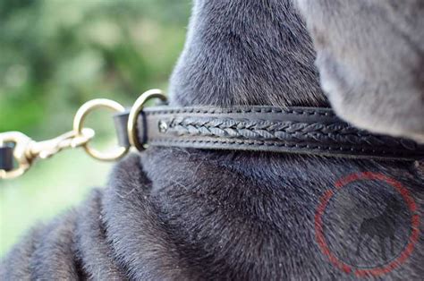 Braided leather Choke Collar > German Shepherd Breed > Dog Gear