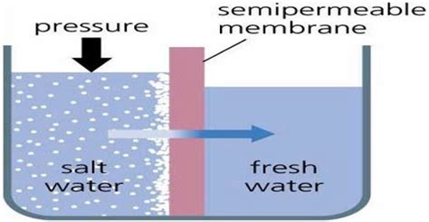 Semi-permeable Membrane: Membrane Solution Theory - QS Study