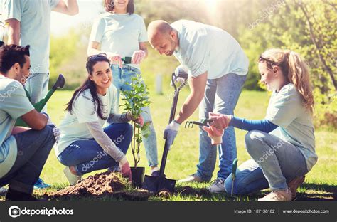 Group of volunteers planting tree in park — Stock Photo © Syda ...