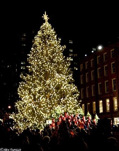 South Street Seaport Annual Holiday Tree Lighting 2019 - New Yorkled ...