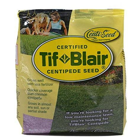 Tifblair Centipede Grass Seed (1 Lb.) Direct From the Farm - Walmart.com - Walmart.com