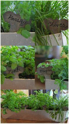 39 Herbs ideas | herbs, herbalism, herb garden