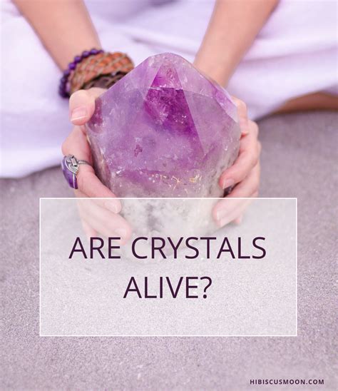 Are crystals alive? - Hibiscus Moon Crystal Academy