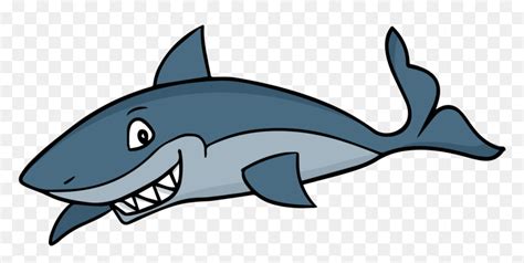 Cartoon Shark Png - Clipart Of Shark, Transparent Png - vhv