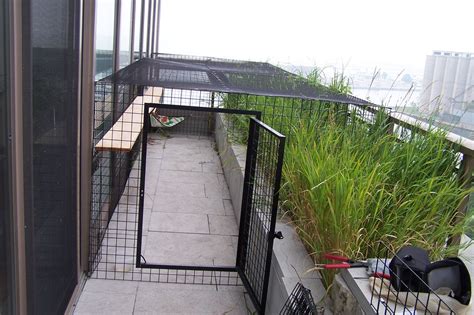 Catio Picture Gallery | Cat patio, Apartment dogs, Habitats