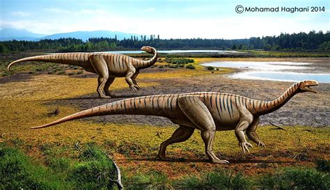 Plateosaurus | Dinosaurs - Pictures and Facts