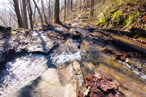 Monte Sano State Park Trails | Winter Hiking & Biking