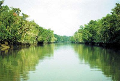 Sundarbans, The - Banglapedia