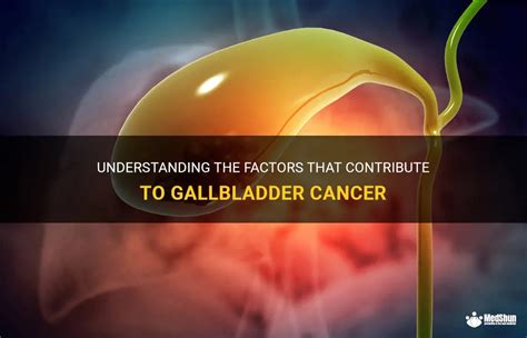 Understanding The Factors That Contribute To Gallbladder Cancer | MedShun