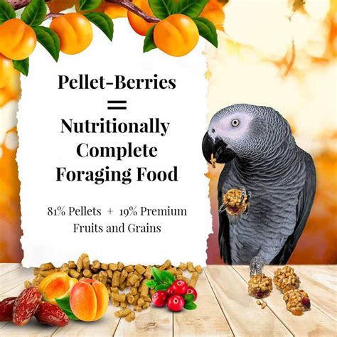 Best Bird Food Pellets Available for Parrots - Top 5