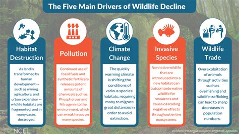 Restoring Biodiversity: How U.S. States are Protecting Life on Earth ...