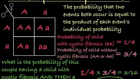 batería Tesauro excepción punnett table calculator Susceptibles a Helecho extraterrestre