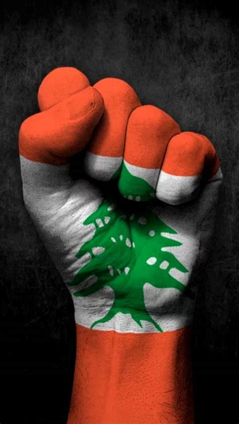 Lebanon Flag Wallpapers - Top Free Lebanon Flag Backgrounds ...