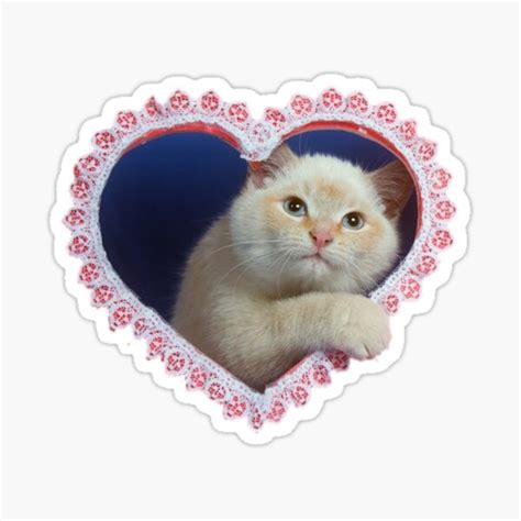 "Cat in Heart" Sticker for Sale by moonbeambaby | Redbubble