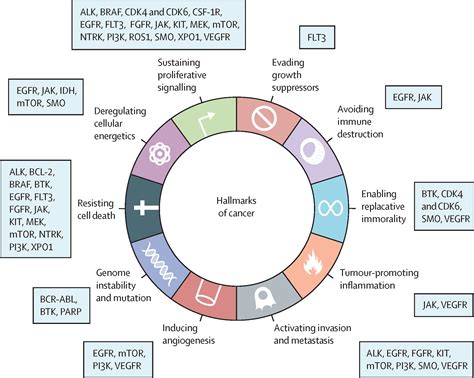 Small molecules, big impact: 20 years of targeted therapy in oncology - The Lancet