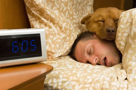 Move over, Rover. Discover the Pros and Cons of Sleeping with Your Dog ...