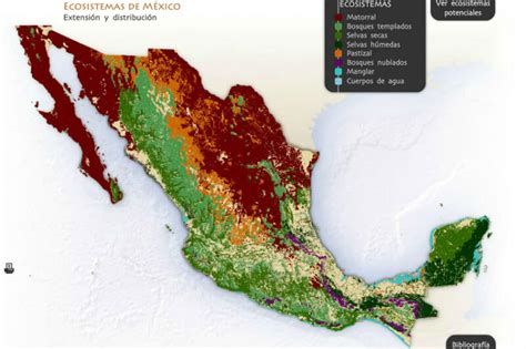 Recorre la sorprendente diversidad de ecosistemas de México en este mapa interactivo - Más de México